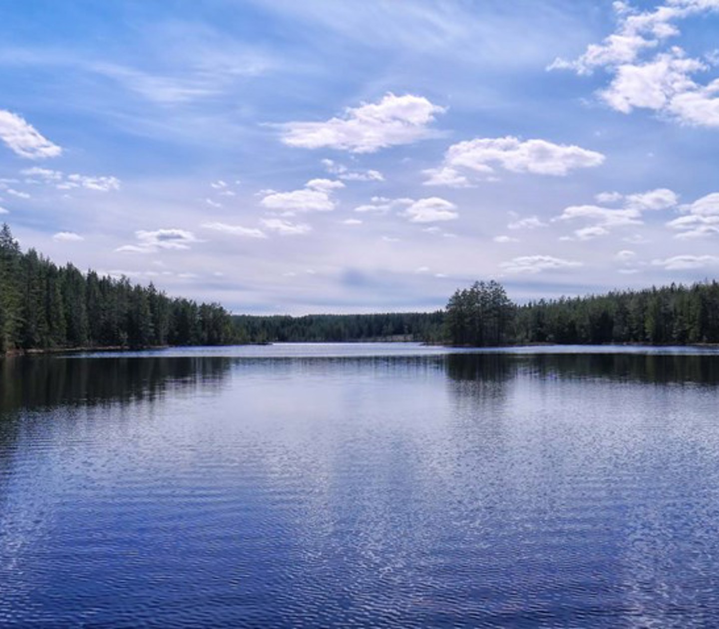 Stilla sjö, skog i bakgrunden och blå himmel