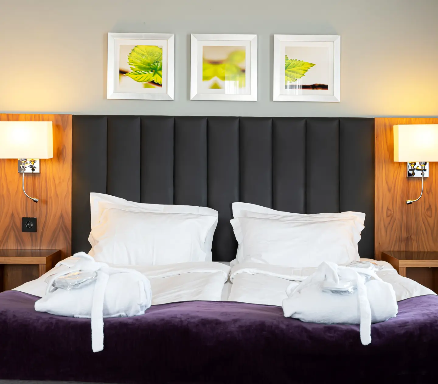 Suite with double room and paintings