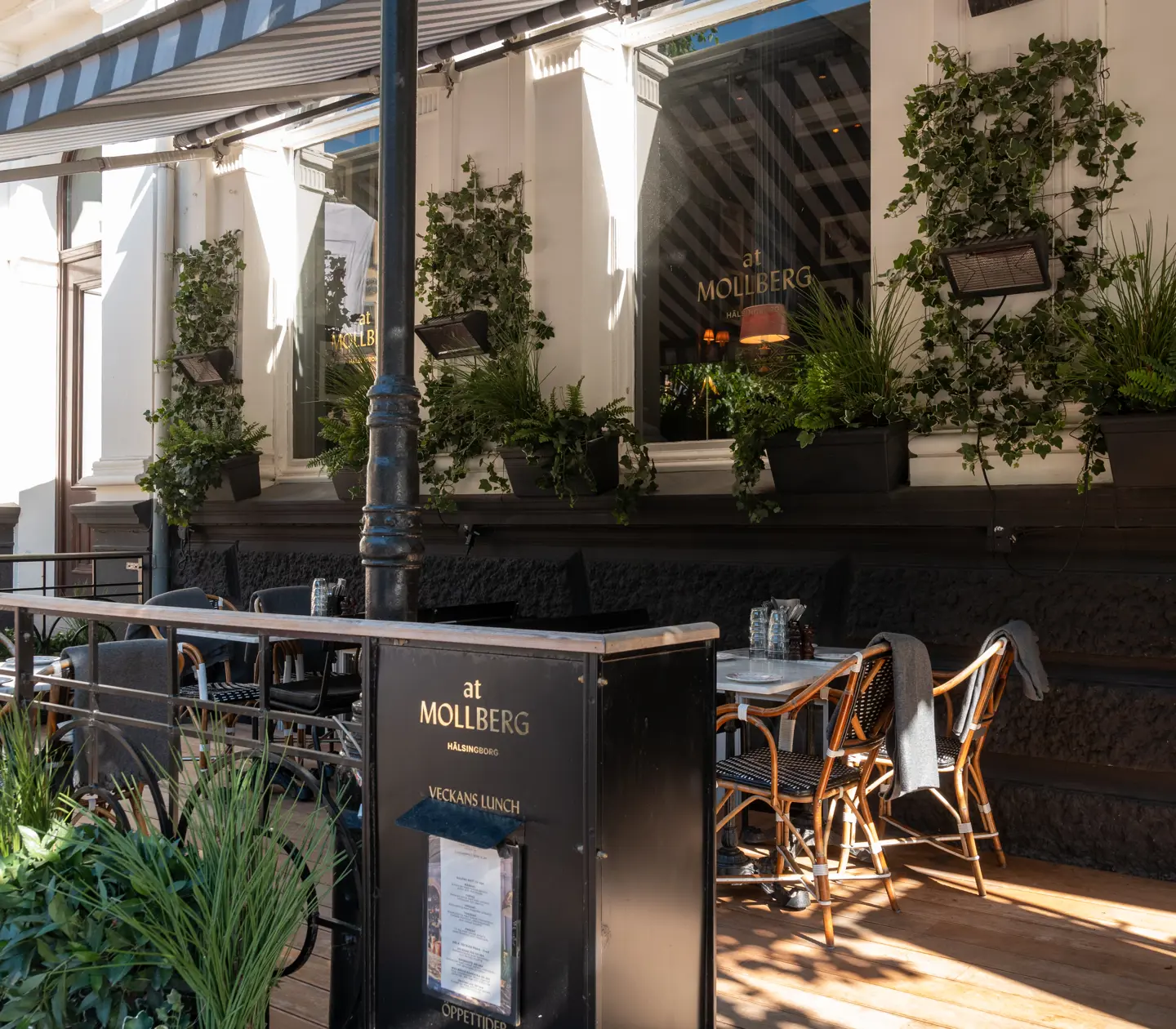 Outdoor seating with plants and dining areas