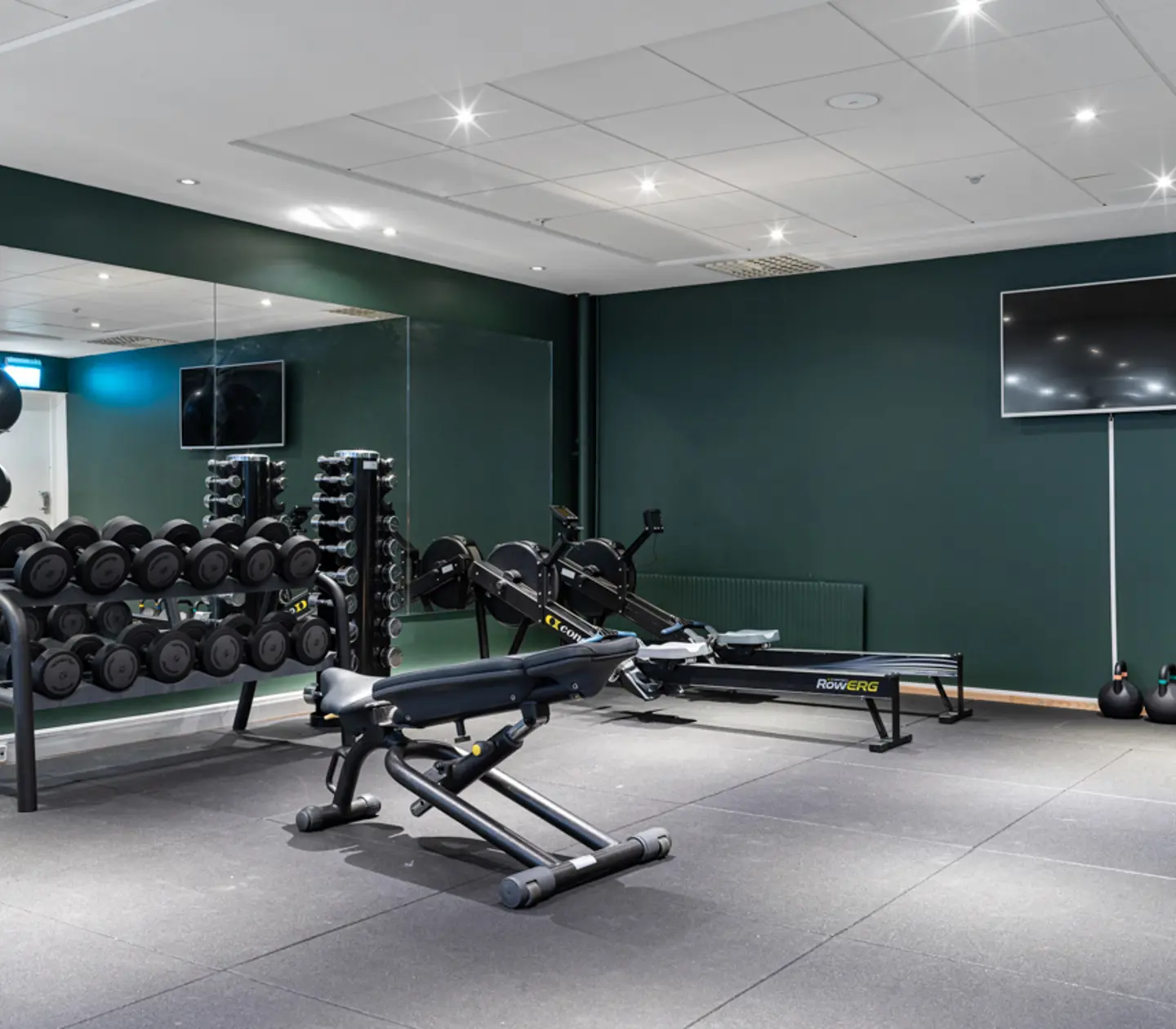 Gym environment with dumbbells, medicine ball and mirror