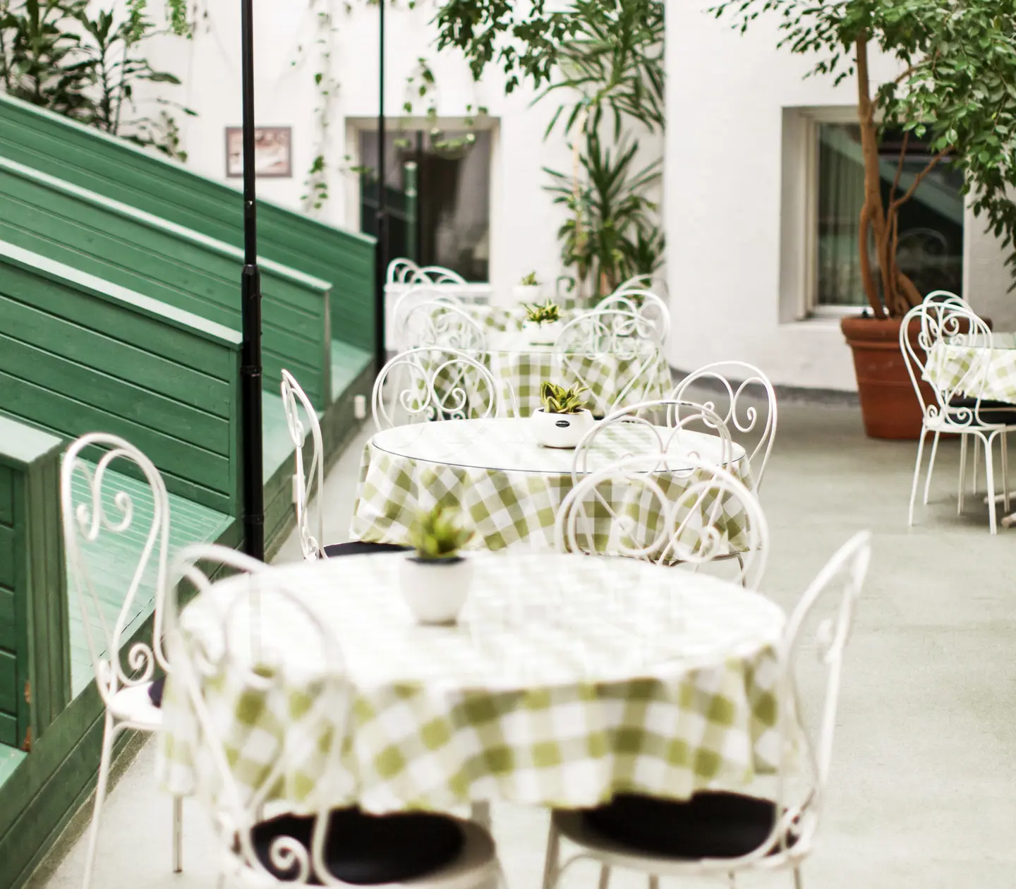 Outdoor seating with round tables, white chairs and lots of plants