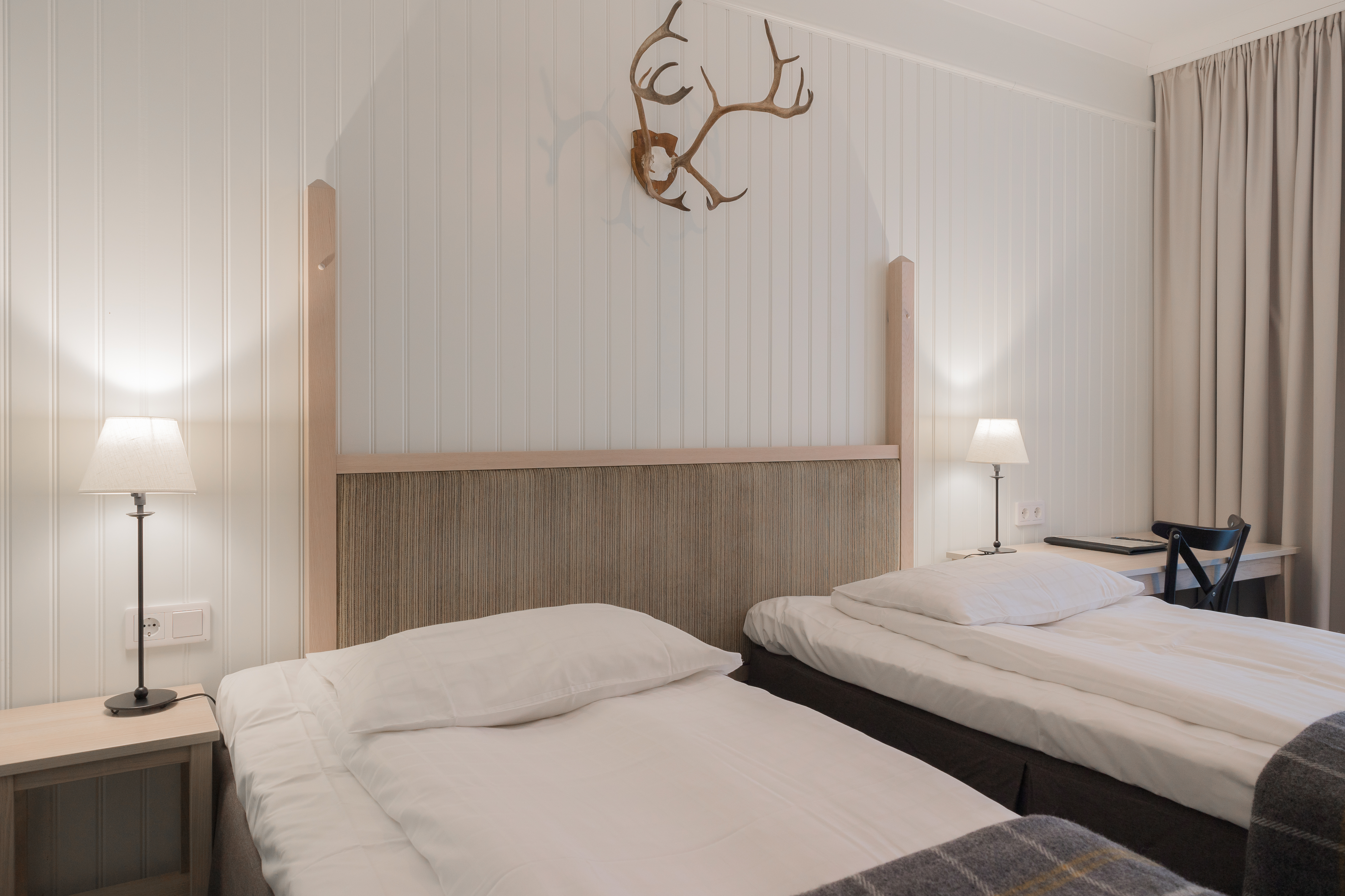 Cozy hotel room with separated beds, desk and animal horns on the wall