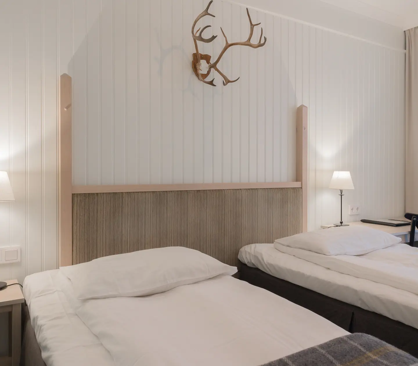 Cozy hotel room with separated beds, desk and animal horns on the wall
