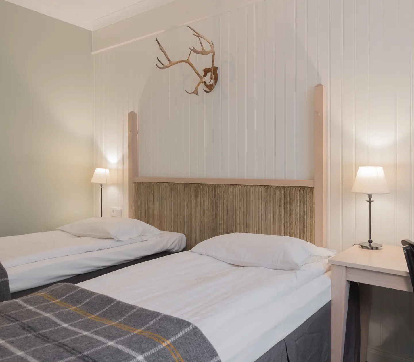 Cozy hotel room with separated beds, animal horns on the wall and desk
