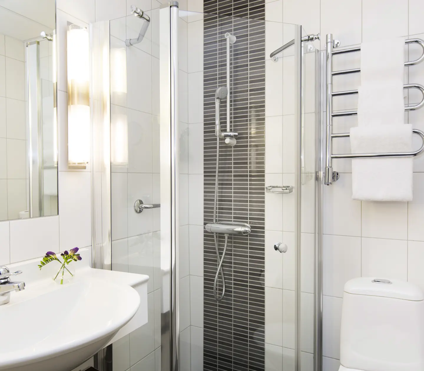 Bathroom with sink, toilet and shower
