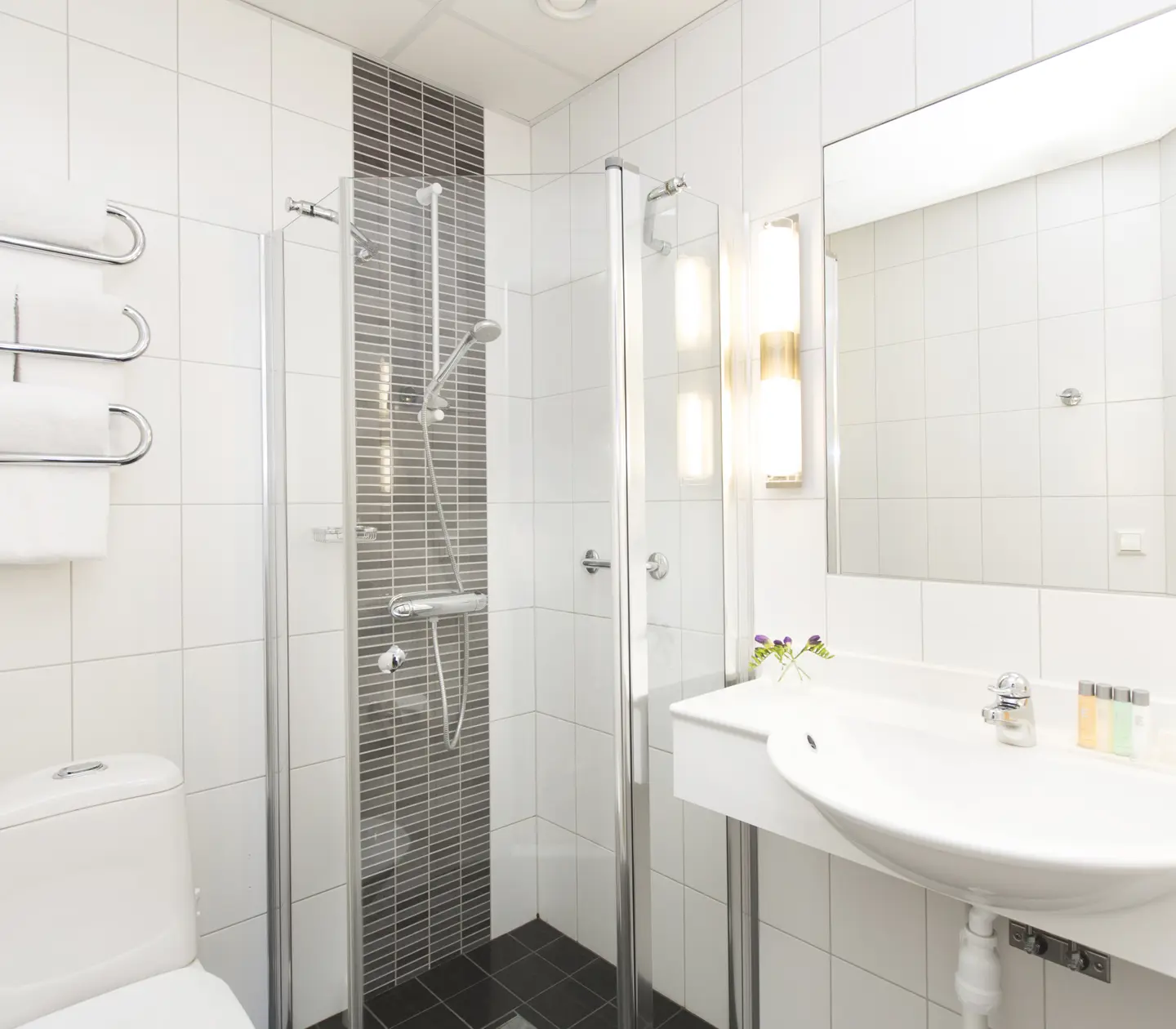 Bright bathroom with toilet, shower and sink