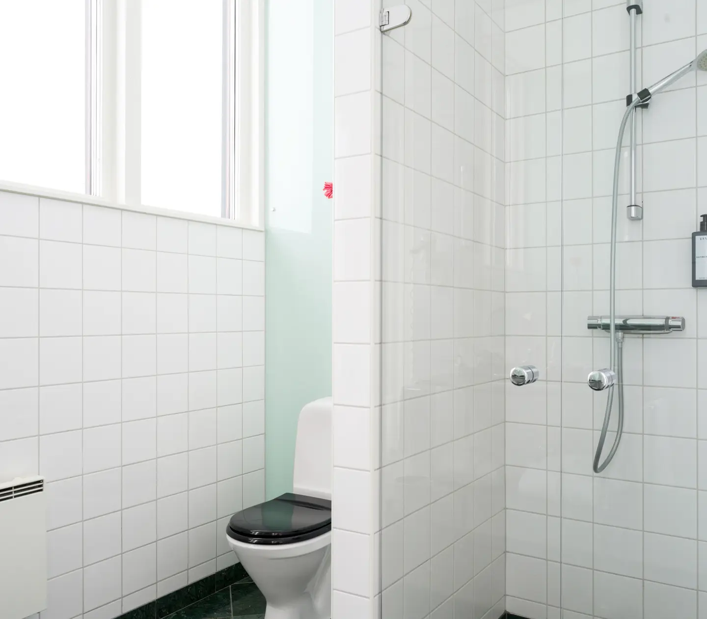 Bright bathroom with shower, toilet and window