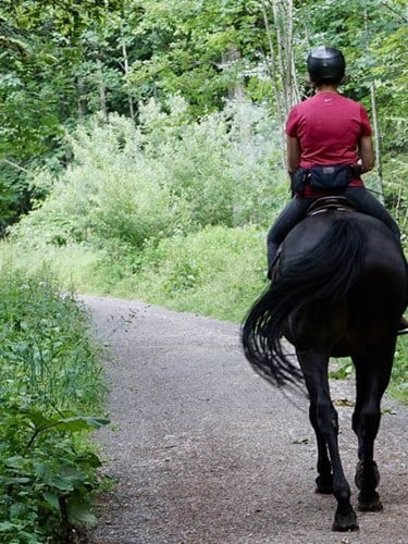 En tjej som rider på en häst i skogen
