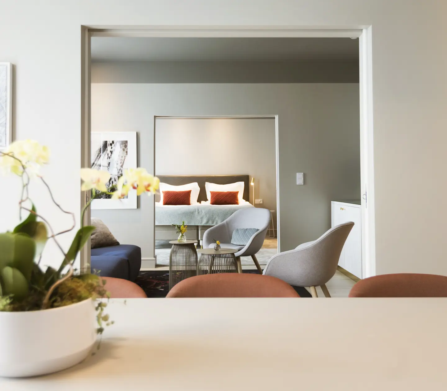 Cozy suite with dining area, sofa area and bed