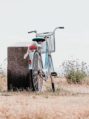 En blå gammal cykel parkerad vid en sten i en landskapsmiljö.