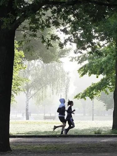 Ett par löptränar i en park