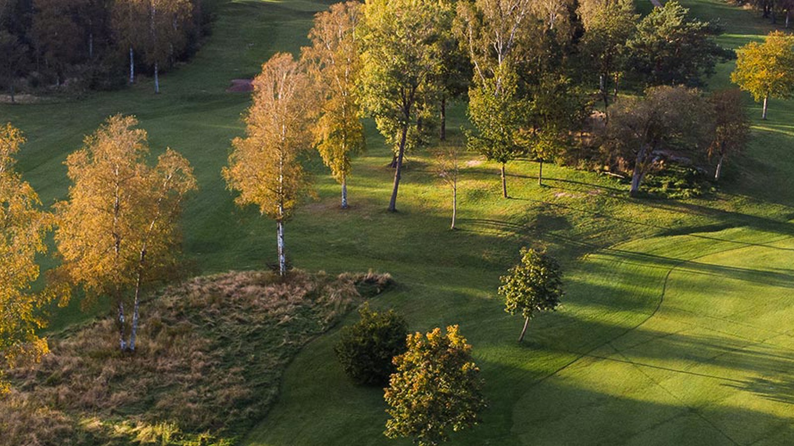 Stor golfbana med skogsdungar och damm