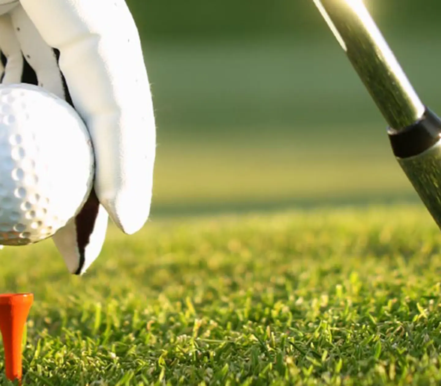 En golfboll och golfklubb inzoomade