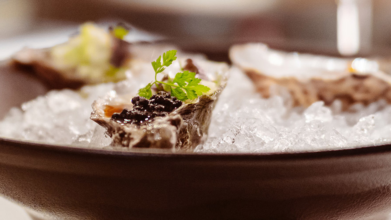 Oysters served on a dish with crushed ice